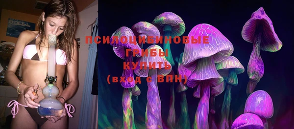 бошки Вязьма